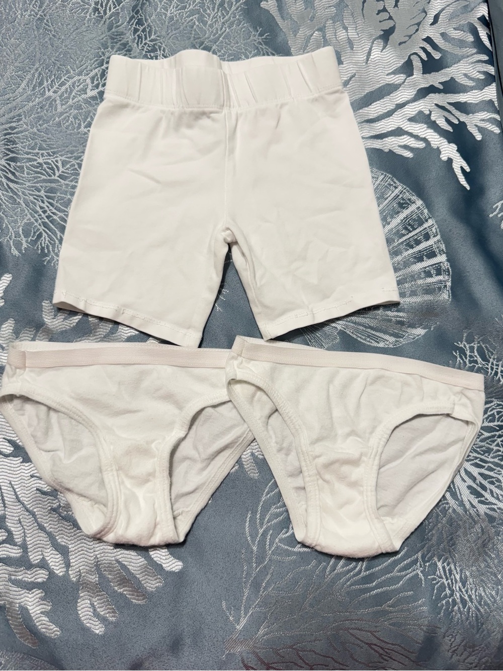 Fruit of the Loom Girls Size 4T White Underwear & Bike Shorts Set EUC
